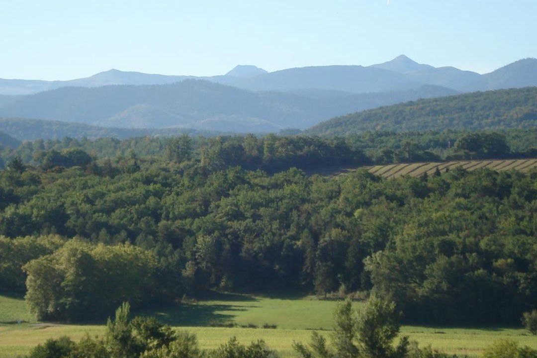 Photo of Others in Regat