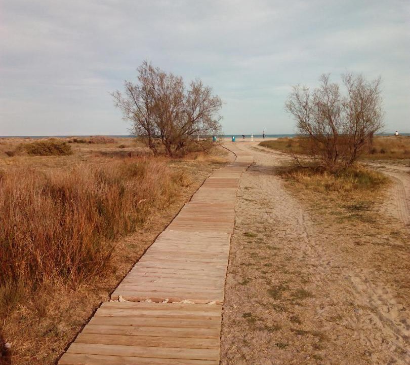 Photo of Others in Playa de Almarda