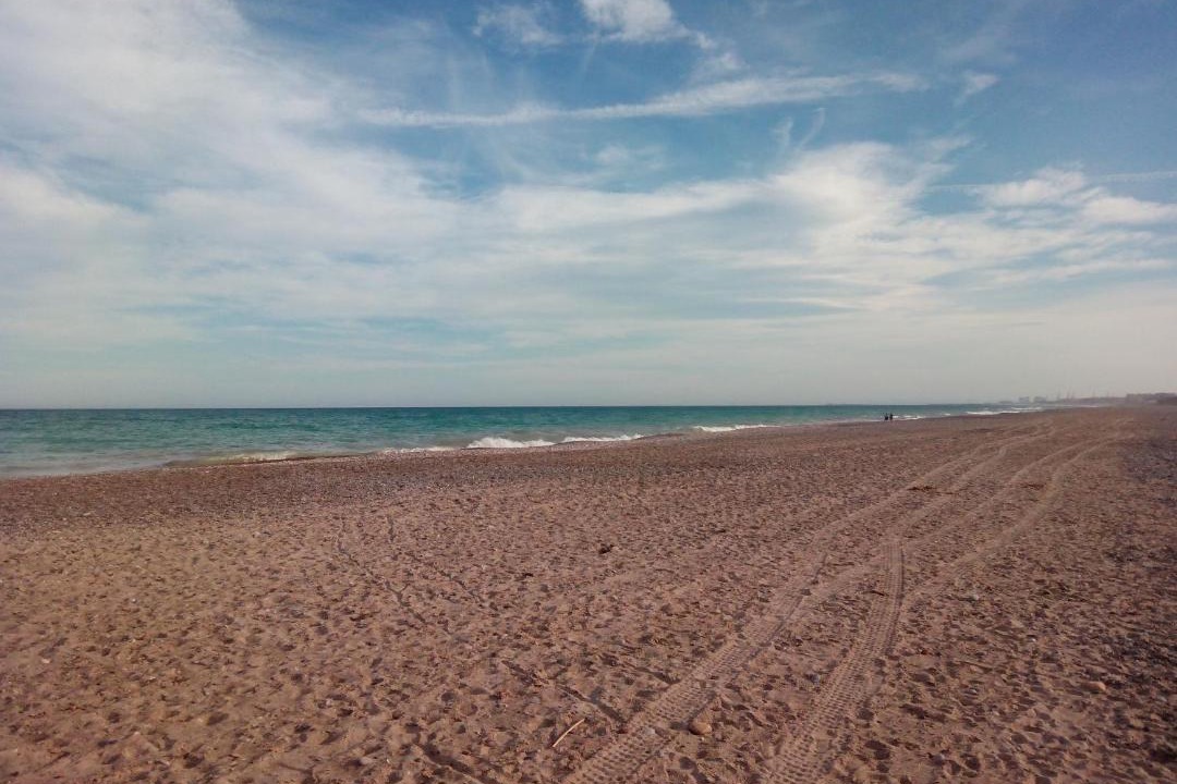 Photo of Others in Playa de Almarda
