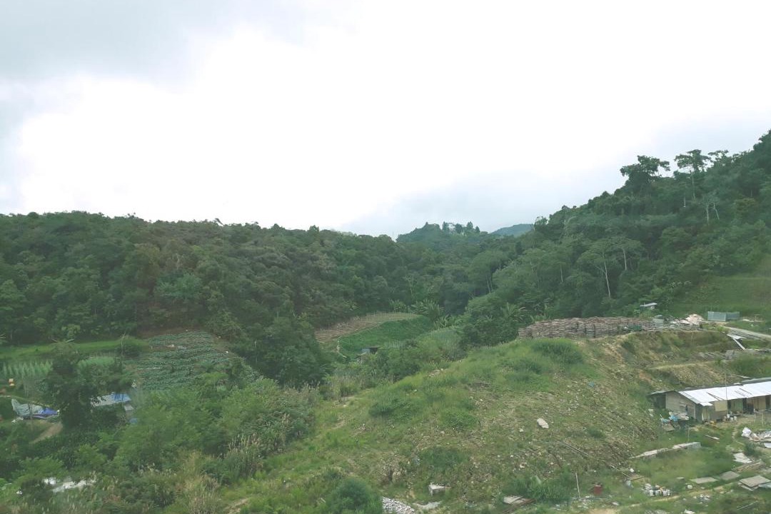 Photo of Outdoor in Tanah Rata