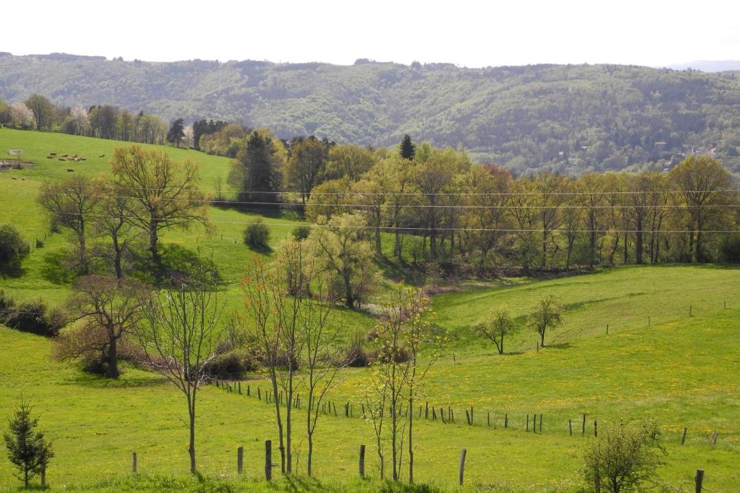 Photo of Others in Saint-Victor-sur-Loire