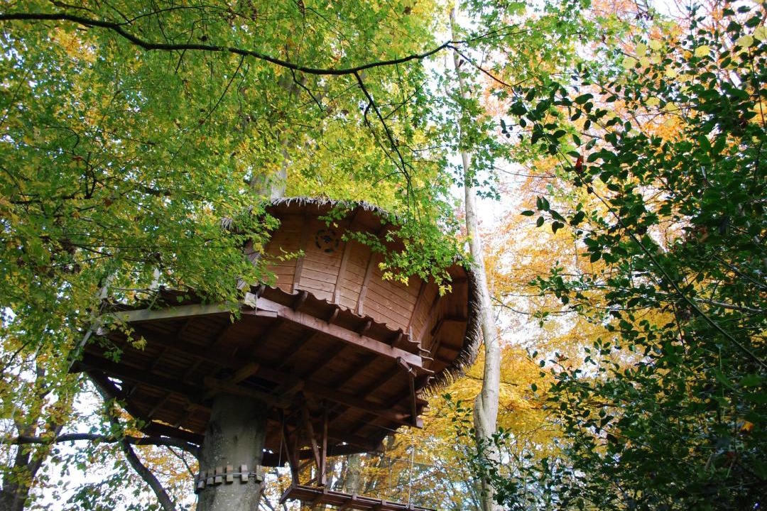 Photo of Others in La Chaussee