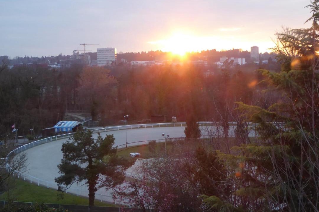 Photo of Others in Muttenz