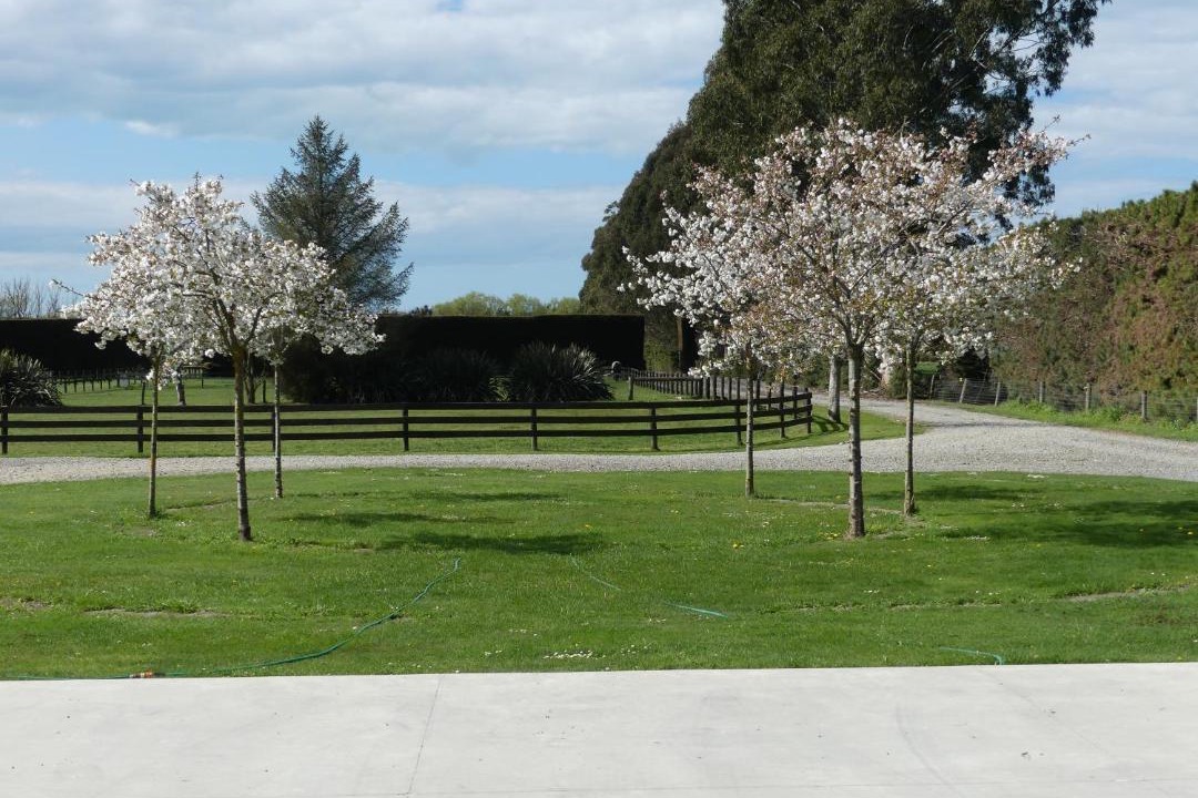 Photo of Others in Waikuku Beach