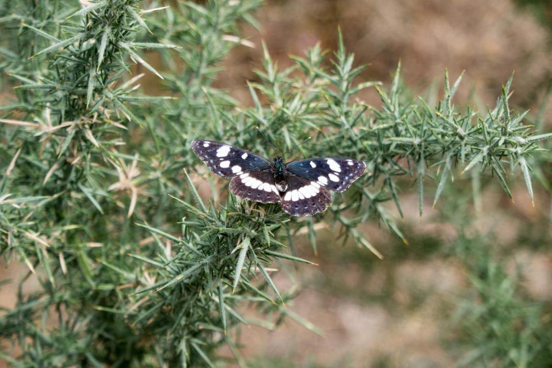 Photo of Outdoor in Verreries-de-Moussans