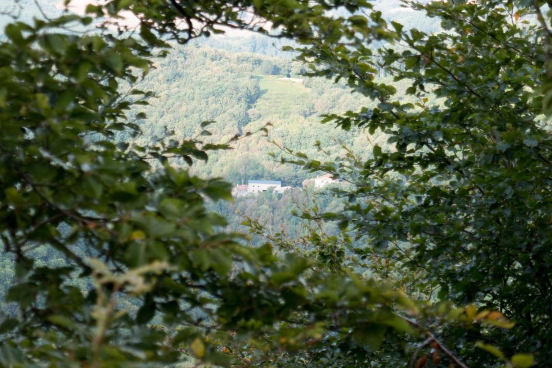 Photo of Others in Verreries-de-Moussans