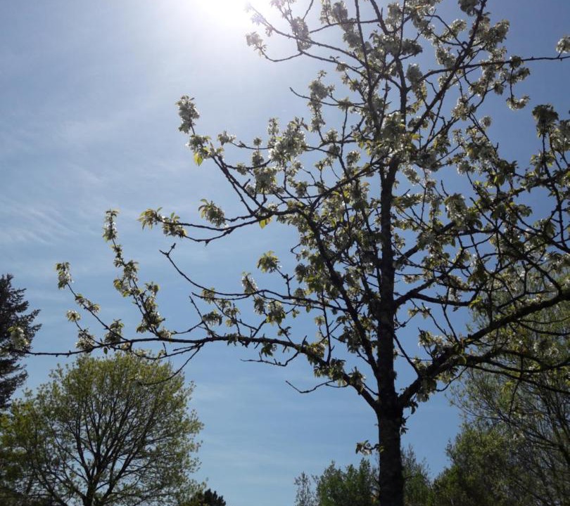 Photo of Others in Avrille-les-Ponceaux