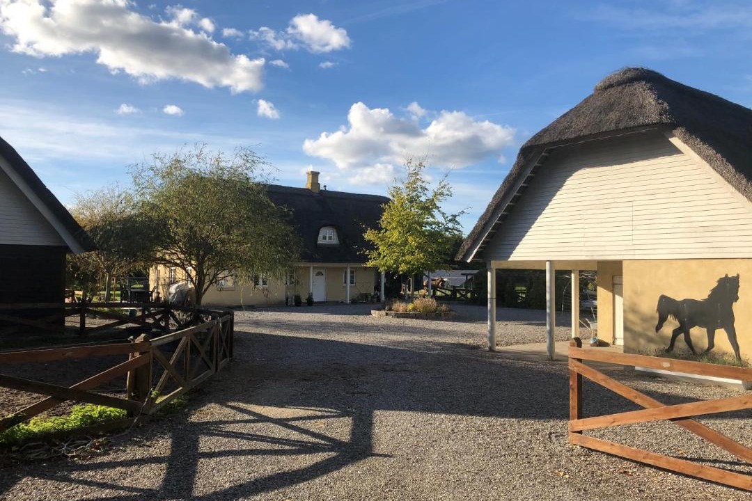 Photo of Others in Store Heddinge