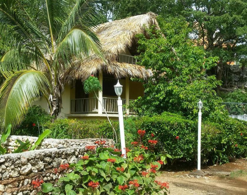 Photo of Others in Las Galeras