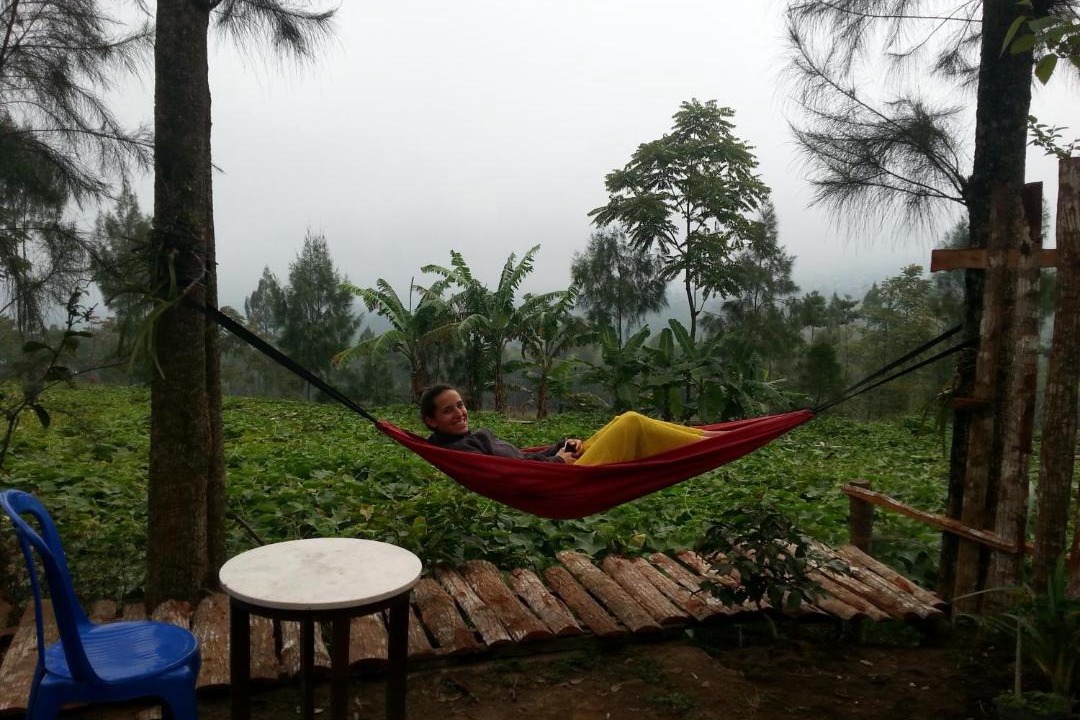 Photo of Others in Wonosobo