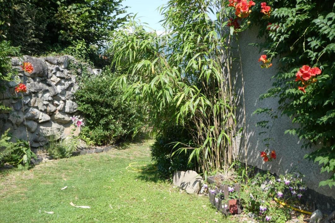 Photo of Others in Arcizans-Avant