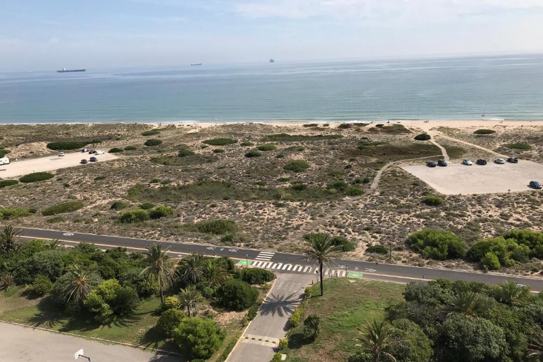 Photo of Outdoor in El Saler