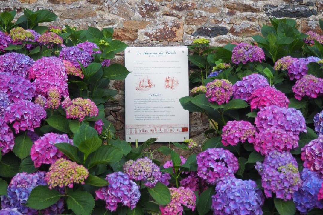 Photo of Others in Lamballe