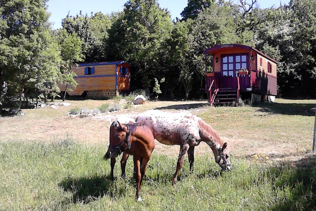 Photo of Others in Blandas