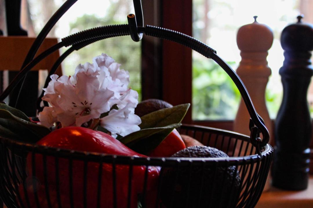 Photo of Others in Mount Tomah