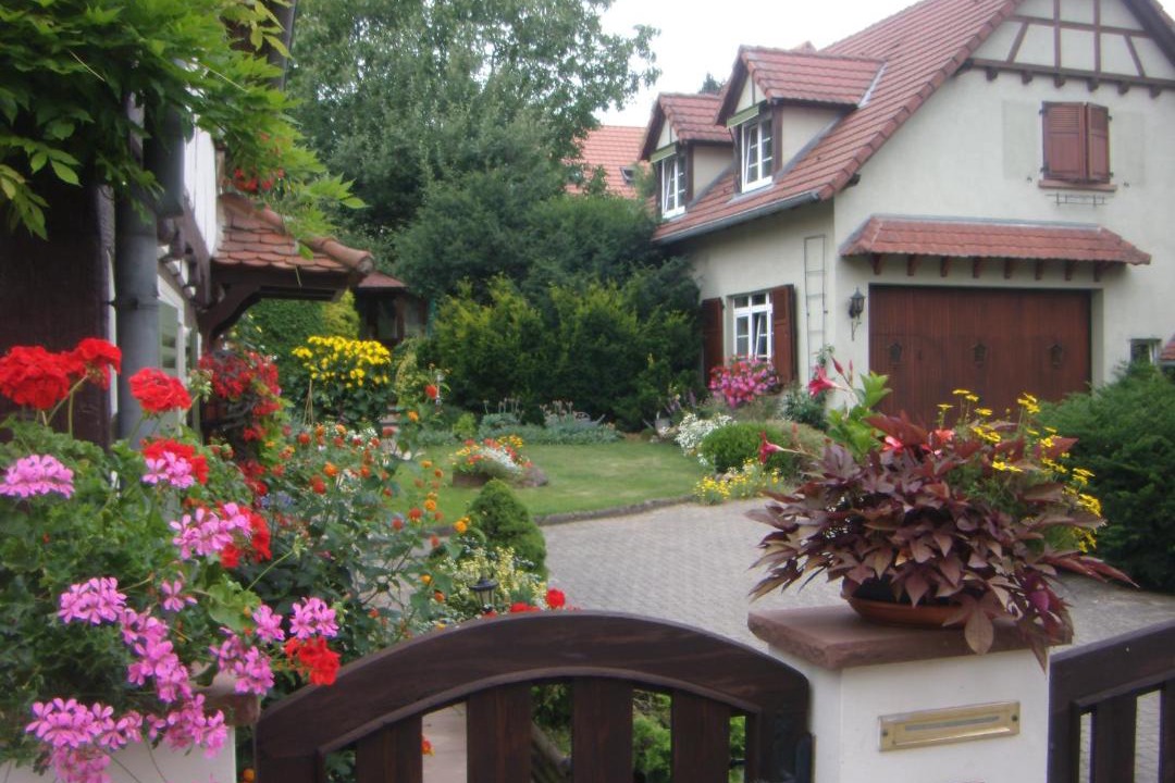 Photo of Others in Merkwiller-Pechelbronn