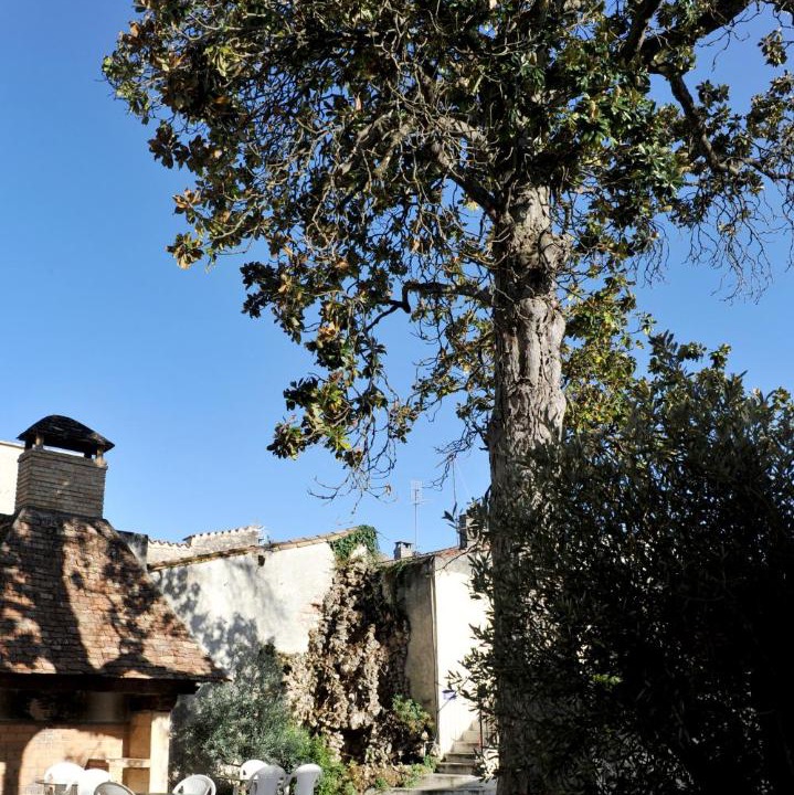 Photo of Others in Sainte-Foy-la-Grande