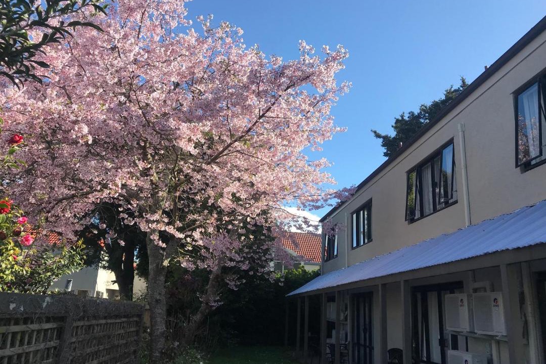 Photo of Others in Greenlane