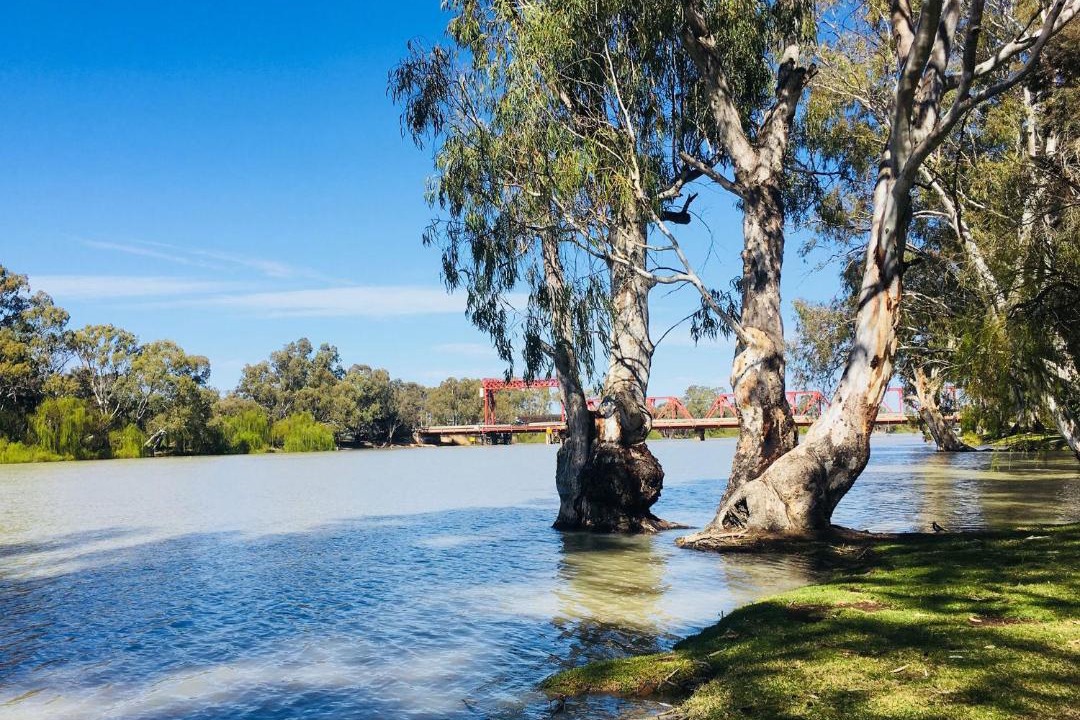 Photo of Others in Renmark