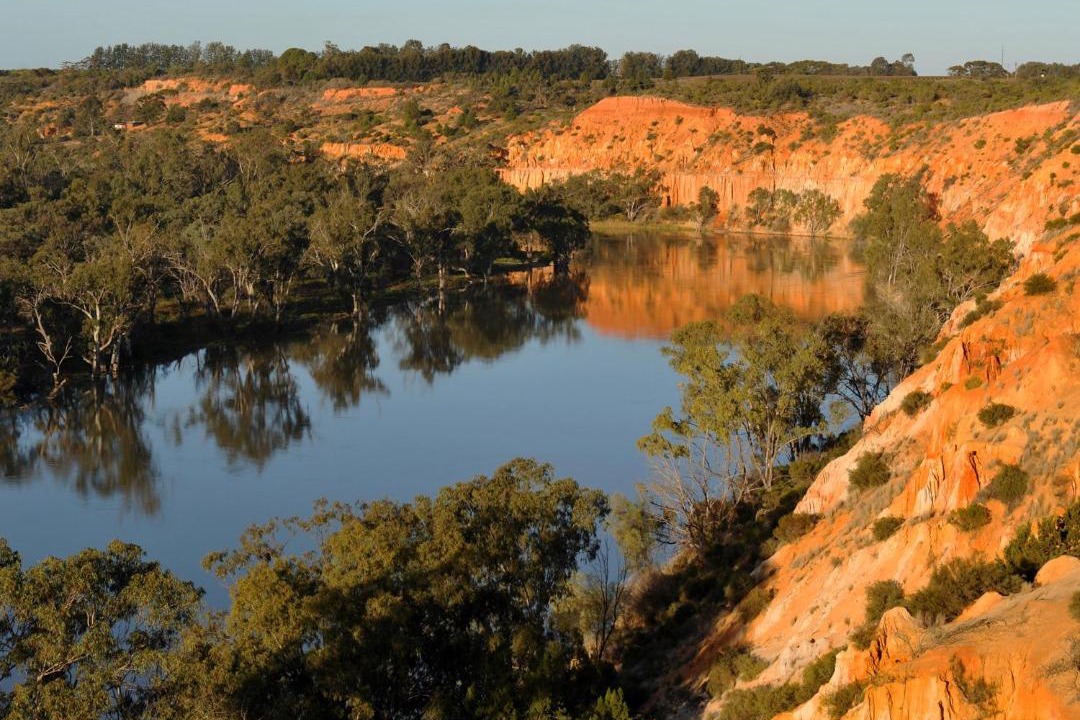 Photo of Others in Renmark