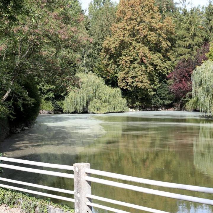 Photo of Others in Mezieres-sur-Oise