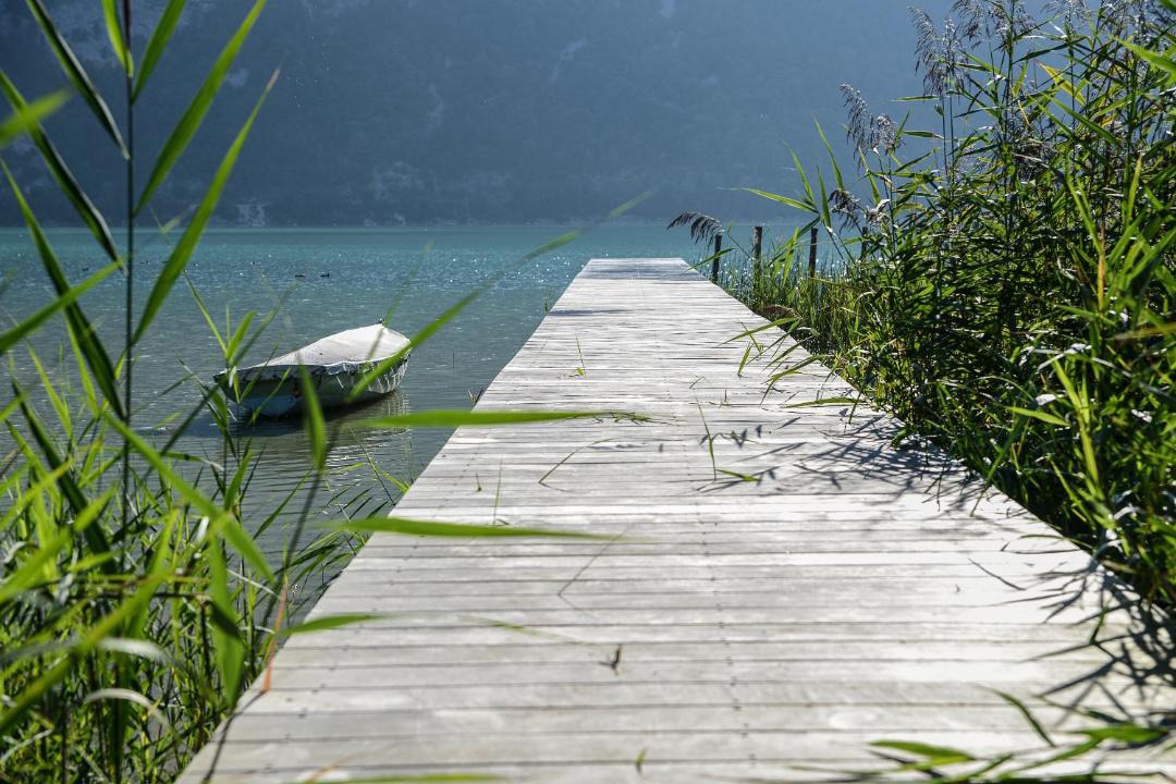 Photo of Others in Nances