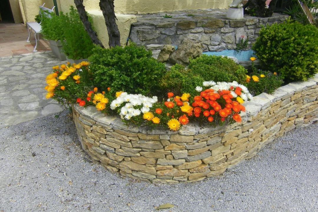 Photo of Others in Le Beausset