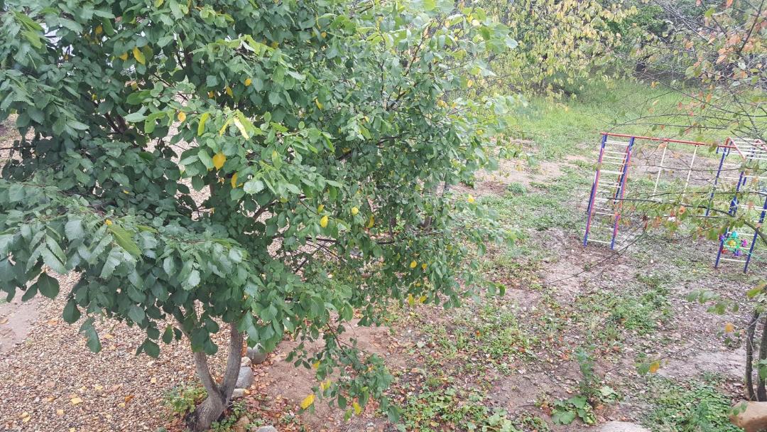 Photo of Outdoor in Yakhroma