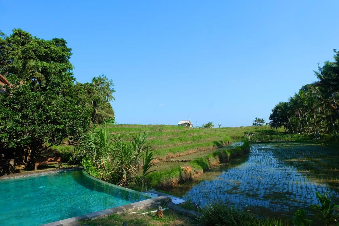 Photo of Others in Tabanan