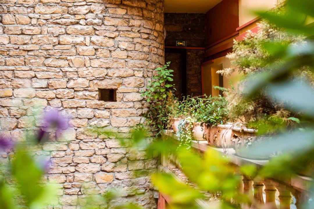 Photo of Others in Brotteaux