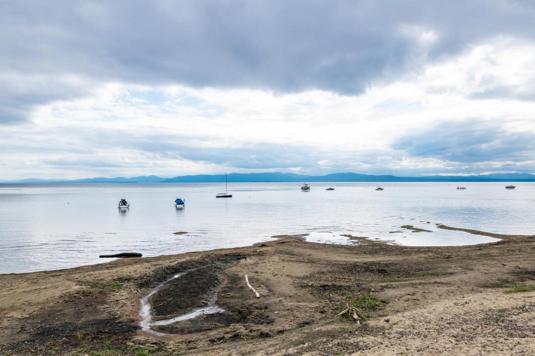 Photo of Others in Malletts Bay