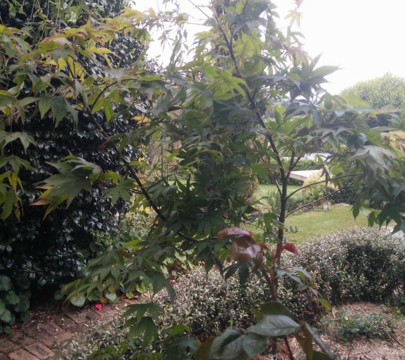 Photo of Outdoor in Waikino