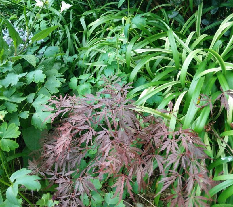 Photo of Outdoor in Waikino