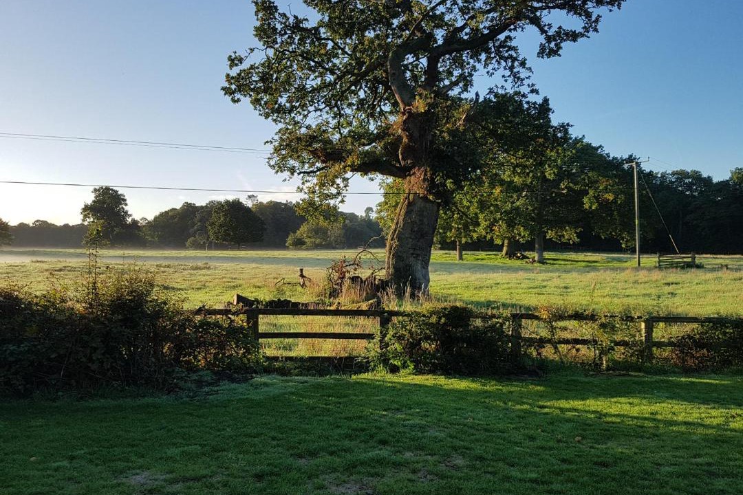 Photo of Outdoor in Tarporley