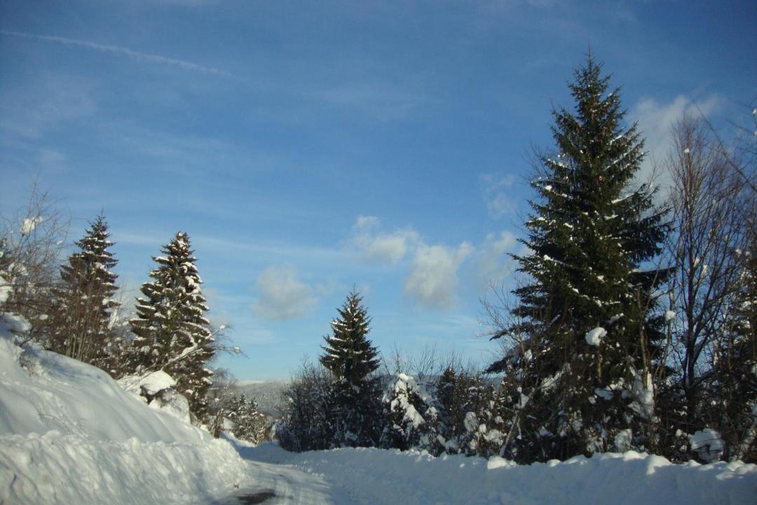 Photo of Others in Oyonnax
