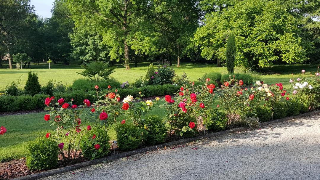 Photo of Others in Condom