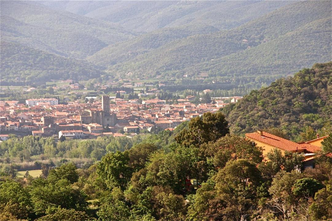 Photo of Others in Ille-sur-Tet