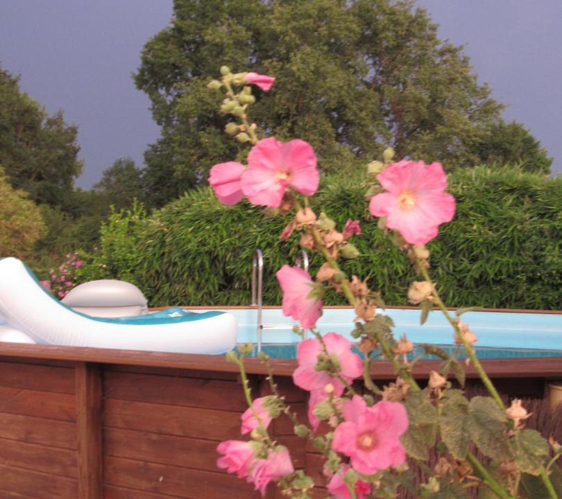 Photo of Others in Chauvigny