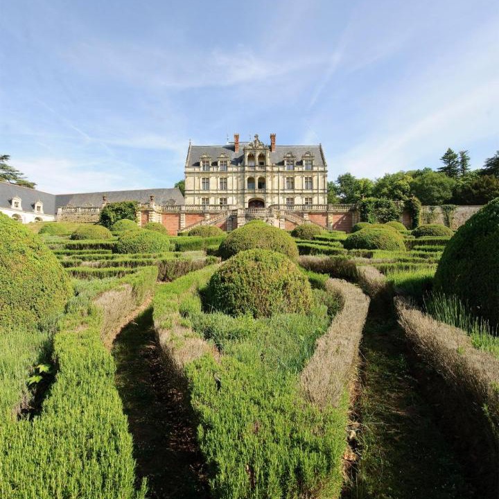 Photo of Others in Montlouis-sur-Loire