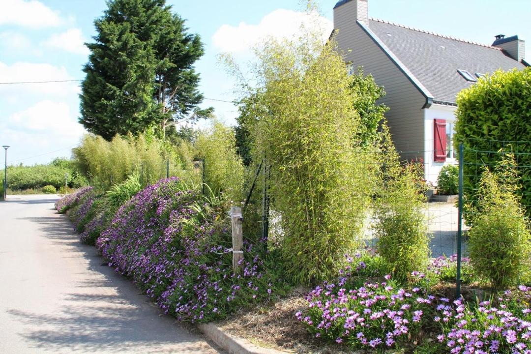 Photo of Others in Loperhet