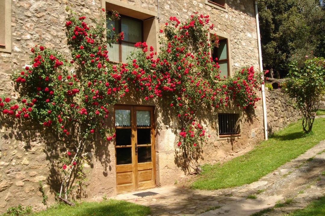 Photo of Others in Joanetes