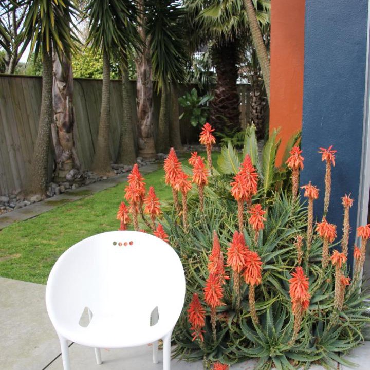 Photo of Others in Palmerston North