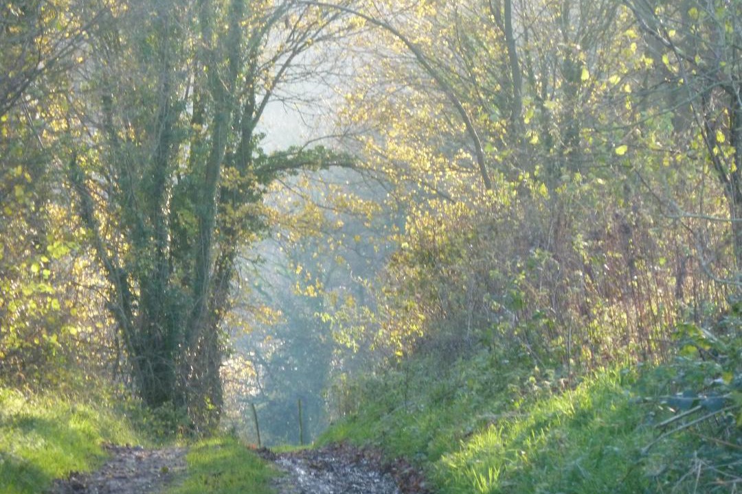 Photo of Others in Bouvelinghem