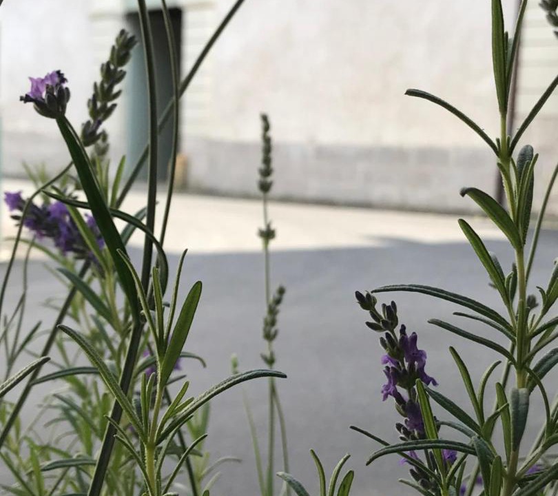 Photo of Outdoor in Fontevraud-l'Abbaye