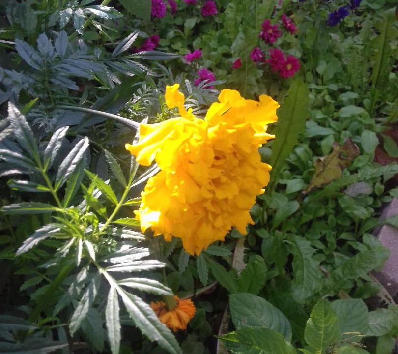 Photo of Others in Nizhniy Novgorod City Centre