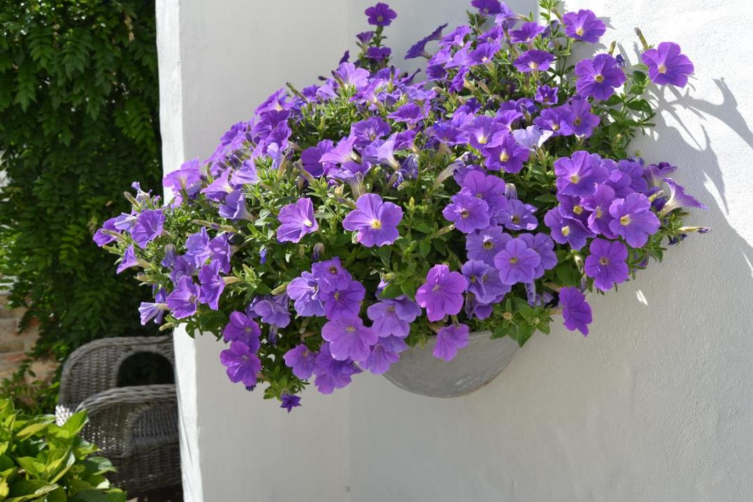 Photo of Others in Lystrup