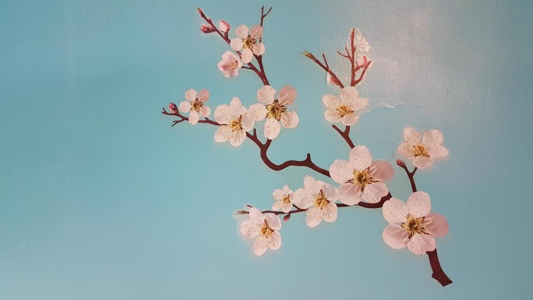 Photo of Others in Downtown Angers