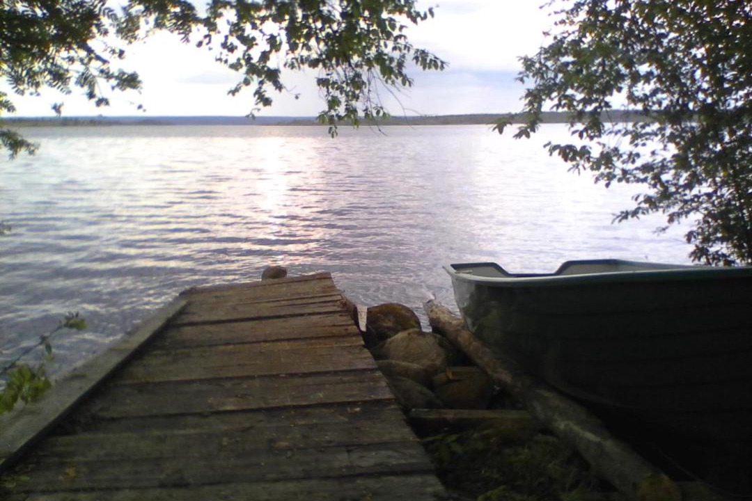 Photo of Others in Petrovsky