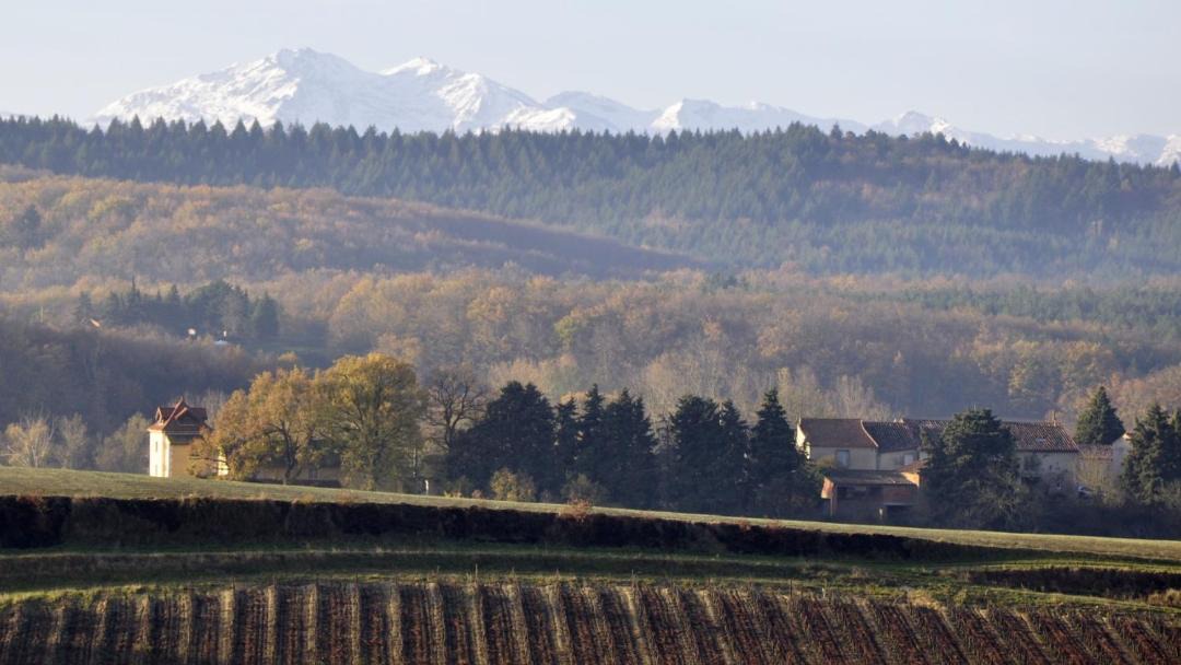 Photo of Outdoor in Escueillens-et-Saint-Just-de-Belengard