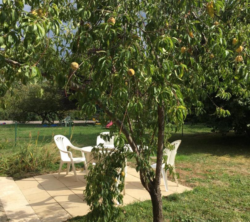 Photo of Outdoor in Louze